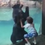 有点意思~小熊与男童一起玩跳高